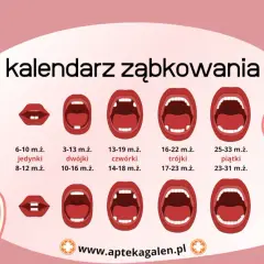 Zęby mleczne: Kalendarz wyrzynania i wypadania. Spokój dla rodziców