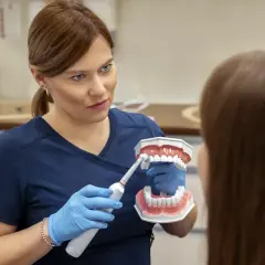 Dentystka pokazuje pacjentowi, jak prawidłowo myć zęby za pomocą modelu szczęki i szczoteczki elektrycznej.