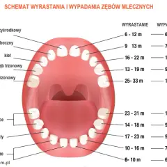 Ząbkowanie: Jak wyglądają dziąsła? Przewodnik dla rodziców