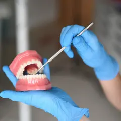 Ręka w niebieskiej rękawiczce pokazuje model szczęki, używając narzędzia dentystycznego. To może być alternatywa co zamiast nici dentystycznej.