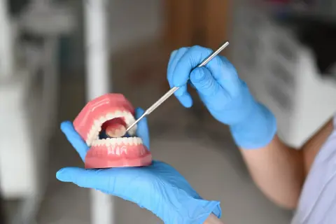 Ręka w niebieskiej rękawiczce pokazuje model szczęki, używając narzędzia dentystycznego. To może być alternatywa co zamiast nici dentystycznej.