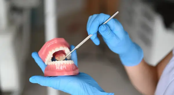 Ręka w niebieskiej rękawiczce pokazuje model szczęki, używając narzędzia dentystycznego. To może być alternatywa co zamiast nici dentystycznej.