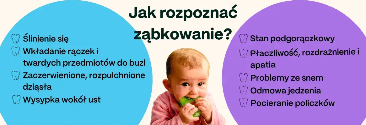 dziecko ząbkowanie drugie trzonowce objawy